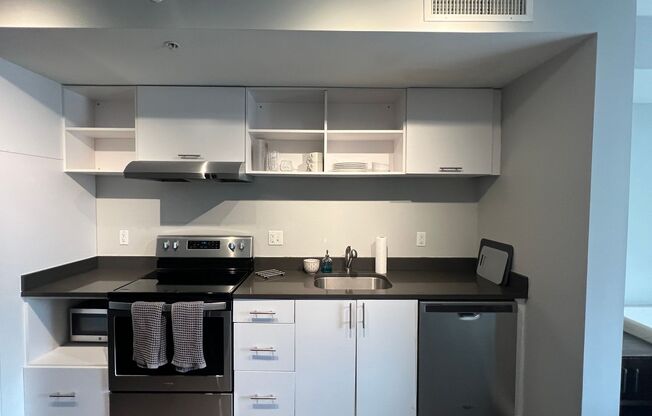 Studio, 1 bath, 435 sqft, $1,300, Unit NK-205