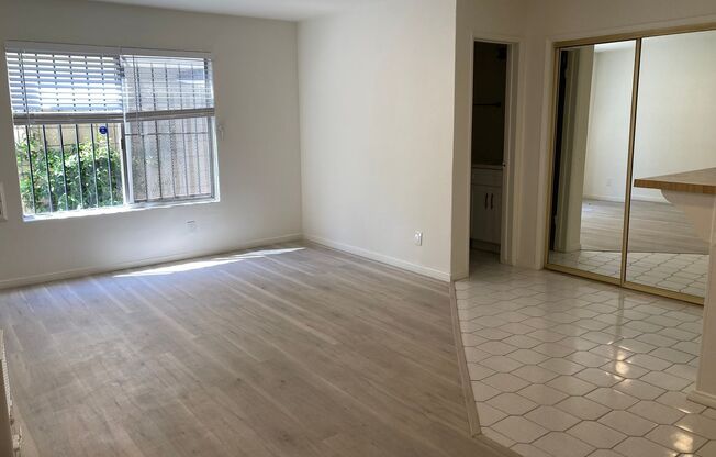119 Driftwood St.