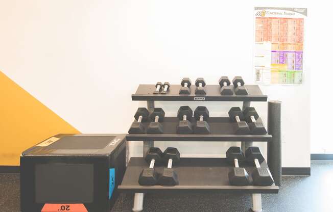 Meetinghouse Apartments Fitness Center Free Weights