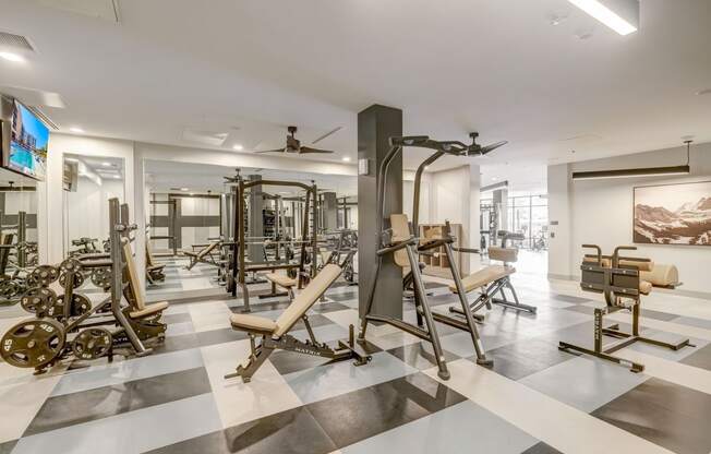 Fitness room strength machines