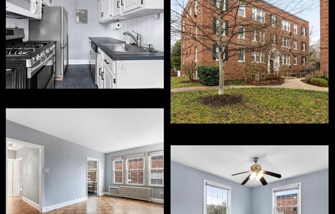 4491 MacArthur Blvd NW Apt 304