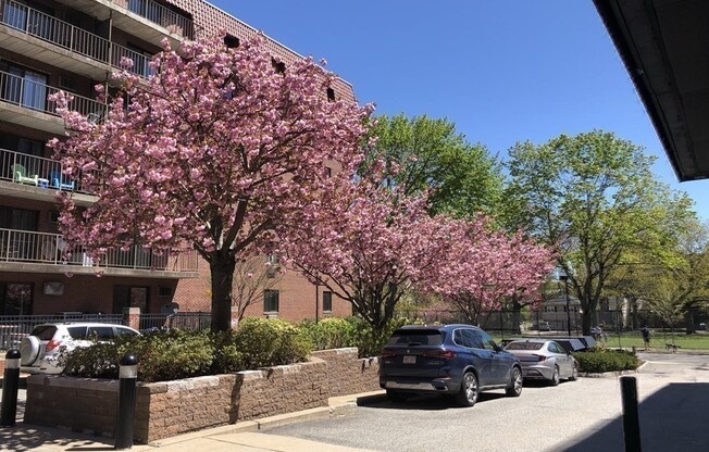 1 bed, 1.5 baths, 853 sqft, $3,200, Unit 307
