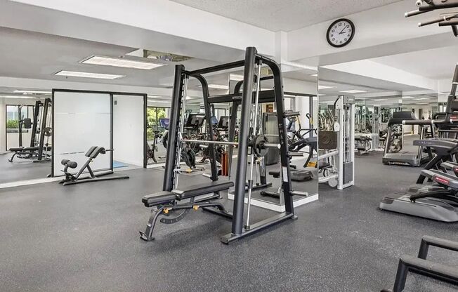1 bed, 1 bath, $2,595, Unit Unit 502