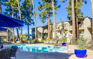 Shasta Lane Apartments Lifestyle - Pool Deck & Pool
