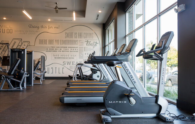 The Cleo Fitness Center With Exercise Bikes, Ellipticals, and More