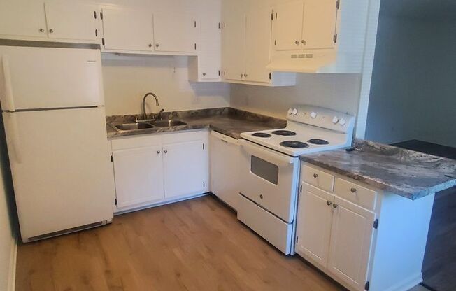 "Bright & Spacious 1BR/1BA with Open Concept – Perfect for UT Students"