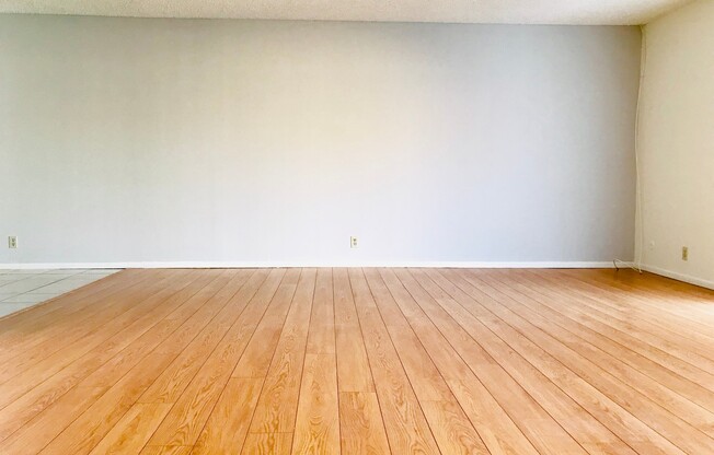 APT 420 GARFIELD