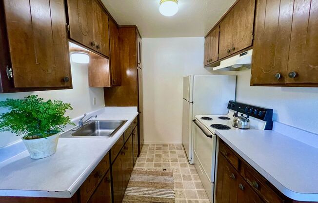 1 bed, 1 bath, 540 sqft, $1,035