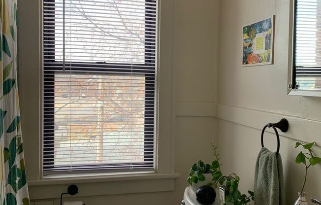 1 bed, 1 bath, 550 sqft, $1,029, Unit 106