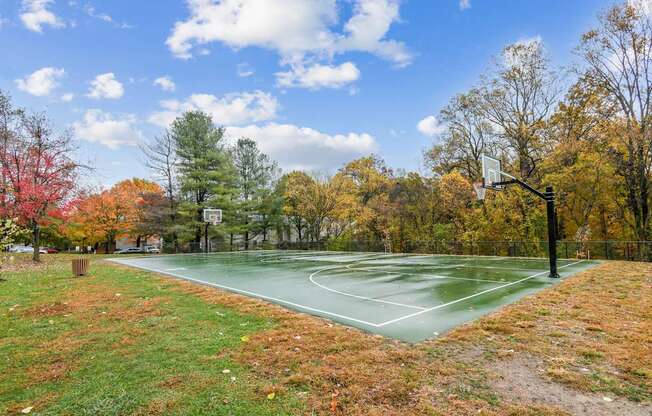A basketball court surrounded by trees with autumn leaves.