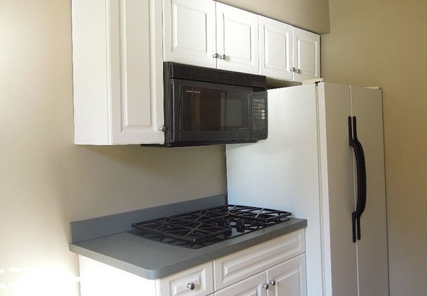 1 bed, 1 bath, 610 sqft, $3,100, Unit 209