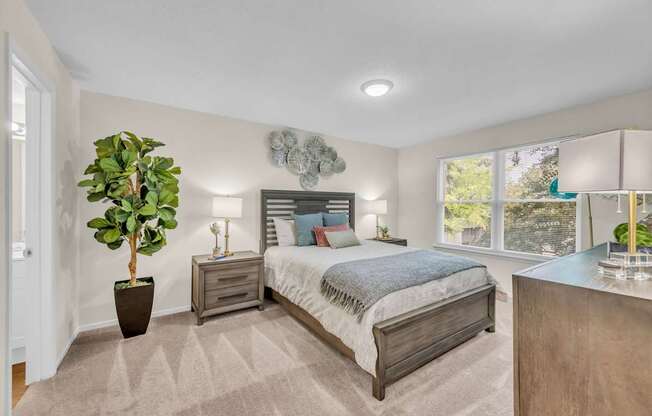 A bedroom with a large bed, a potted plant, and a nightstand with a lamp.