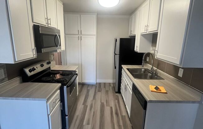2 beds, 2 baths, 1,015 sqft, $3,025, Unit 208