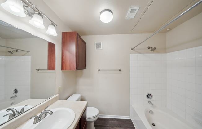 a bathroom with a sink toilet and shower and a bath tub