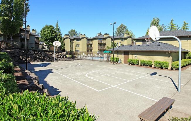 Outdoor Basketball Court with Hoop, Trees and Bushes