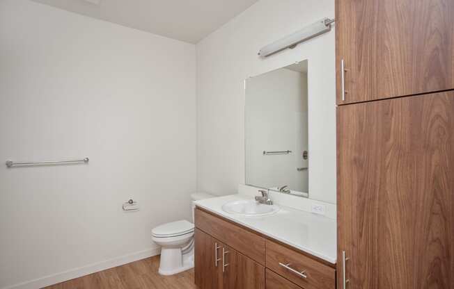 a bathroom with a sink and a toilet and a mirror