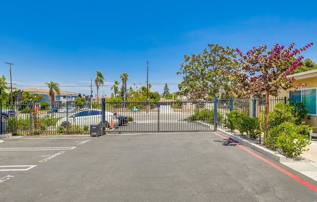 Studio, 1 bath, 300 sqft, $1,550, Unit 01