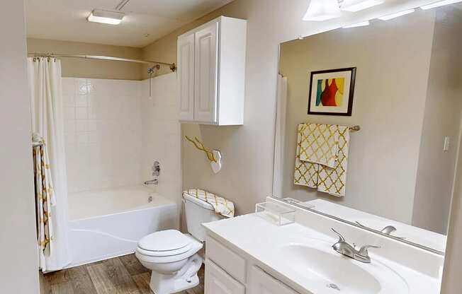 bathroom with a sink, toilet, and a bathtub