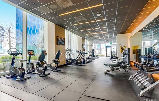 Studio, 1 bath, 480 sqft, $3,000, Unit 3305