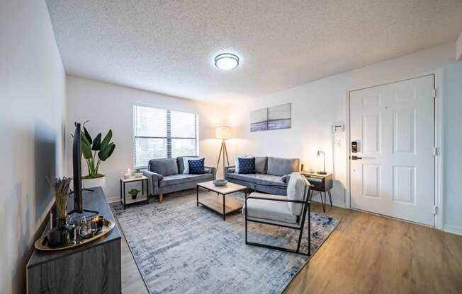 Living Room Interior  at Northlake Apartments, Jacksonville, 32218