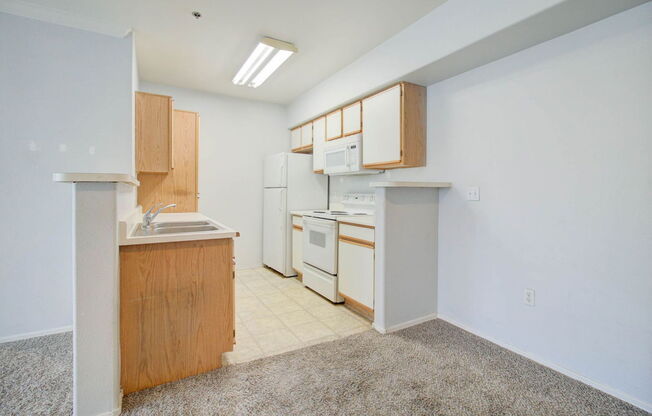1 bed, 1 bath, 745 sqft, $1,300, Unit 2072