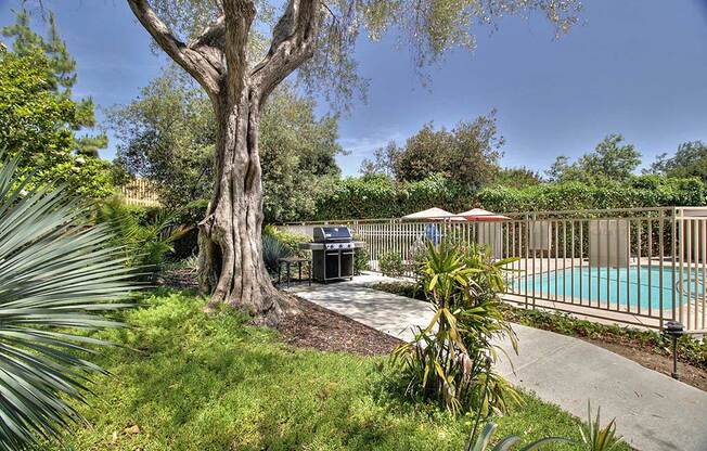 Outdoor plants and trees wit hedges beside pool at The Luxe, Santa Clara, CA, 95051