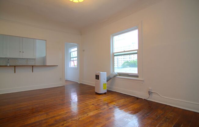Studio, 1 bath, 450 sqft, $1,745, Unit Unit #209