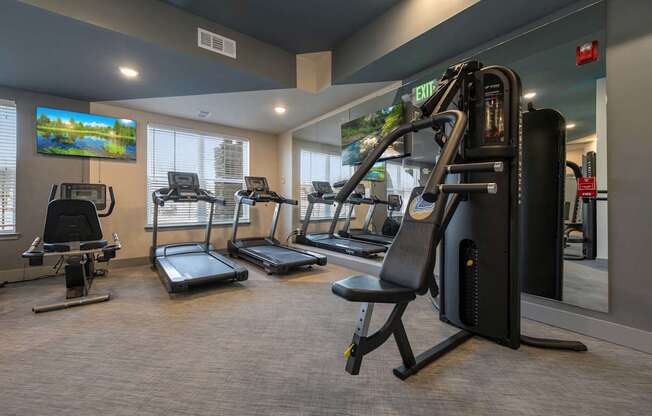 A gym with treadmills, elliptical machines, and a television.