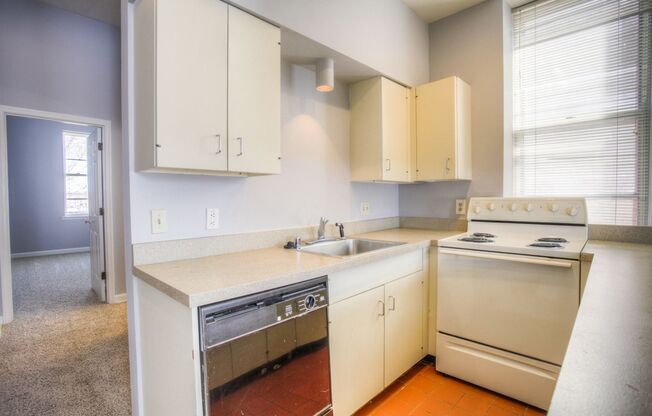 Fenced in backyard, in the heart of historic Soulard.