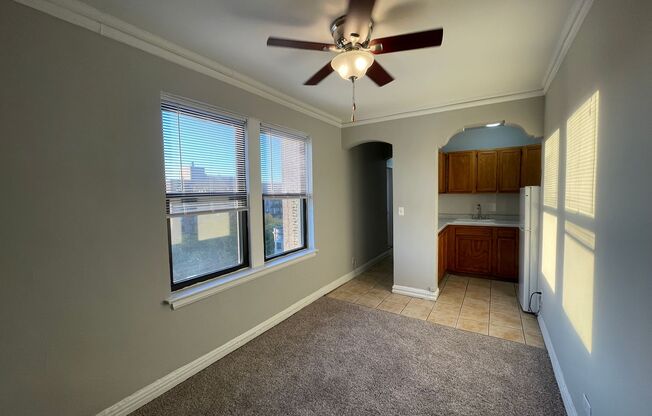 1 bed, 1 bath, 500 sqft, $1,650, Unit 801