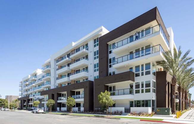 A modern multi-story apartment building with balconies and palm trees in front. at Elements Apartments*, Irvine, CA, 92612