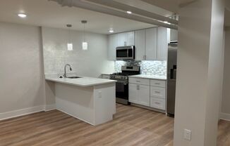 Euclid Properties
