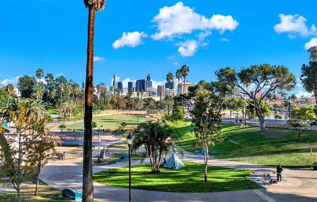 A park with a tall palm tree and a city skyline in the background.