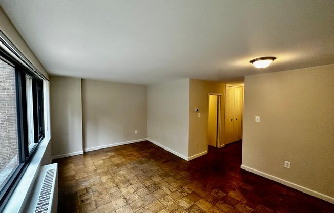 Studio, 1 bath, 460 sqft, $2,250, Unit 0205