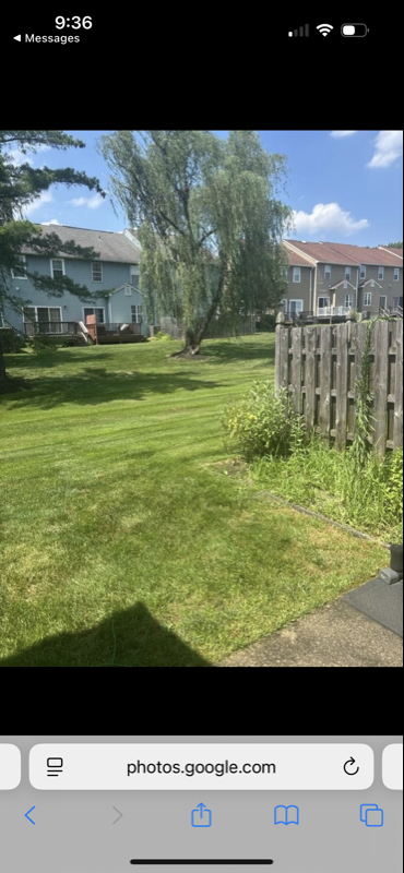 107 CAMBER LN