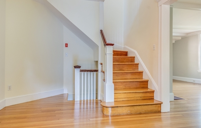 29 Devereaux  Street
