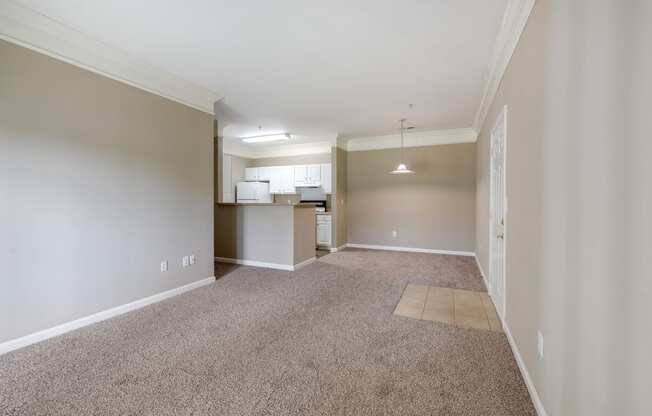 Carpeted Living Room With Light Grey Walls