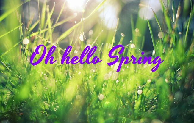 Hilltop Court Apartments