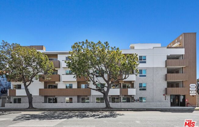 1 bed, 1 bath, 450 sqft, $2,495, Unit 102