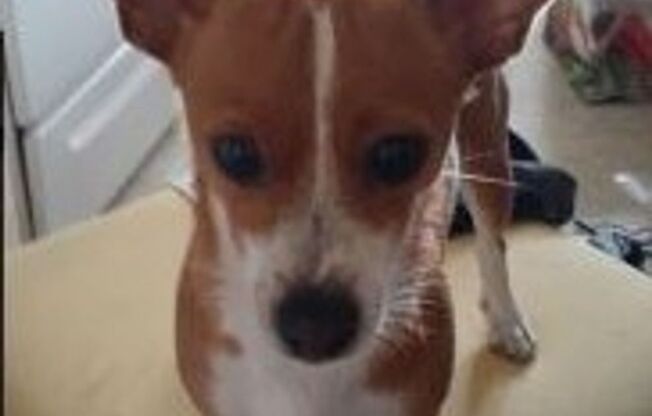 1 bed, 1 bath, 670 sqft, $1,549, Unit 303