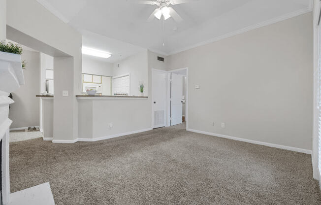 Standard Package Apartment Home - C Floor Plan