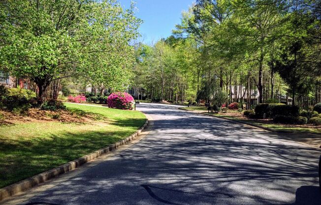 Beautiful Home in Asheton Park - SUBLEASE Feb. - July for $2800, Available for renewal at $2825