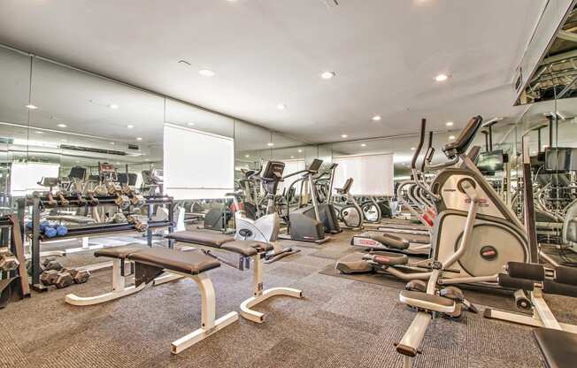 Fitness Center with flat bench, elliptical trainer, stationary bike, free weights, carpet flooring