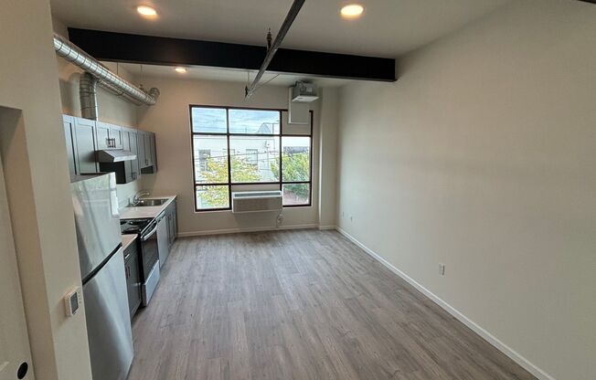 Studio, 1 bath, 398 sqft, $1,250, Unit 203