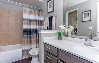 a double sink and large mirror