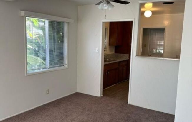 1 bed, 1 bath, $1,900, Unit 1