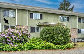 1 bed/1 bath Seattle Apartment
