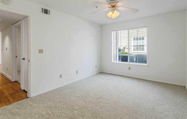 Carpeted Bedroom