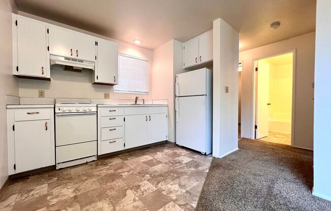 1 bed, 1 bath, 483 sqft, $875, Unit 4