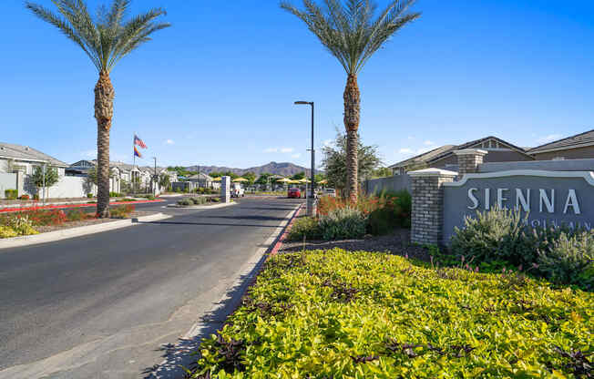 a street with palm trees and a sign that says Sienna at South Mountain